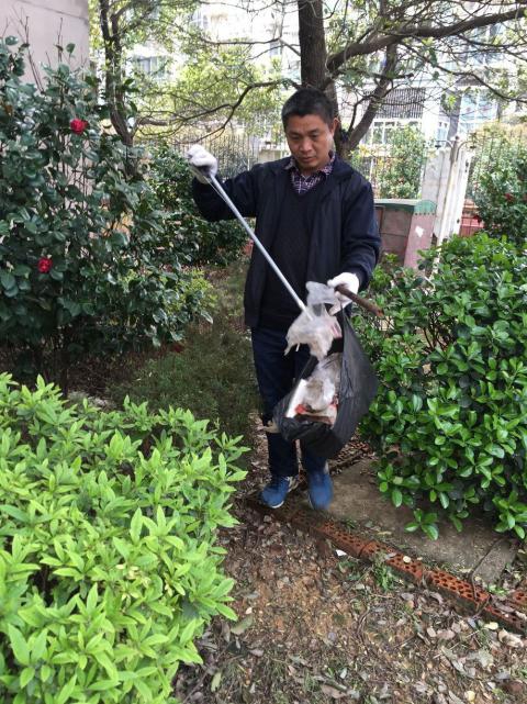 �����󺦡�Ԥ����������������������������������������Э����������